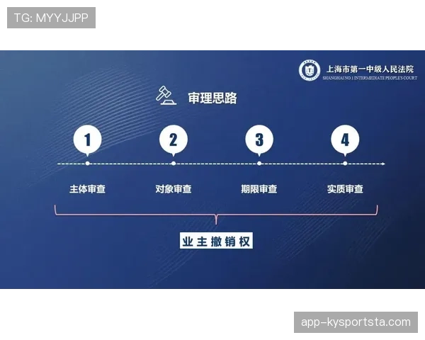 VAR判罚依据有哪些关键标准？解读裁判幕后决策逻辑